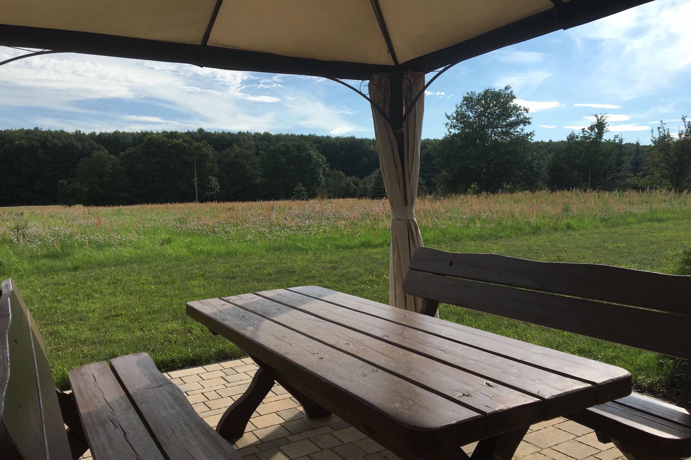 Sitzecke mit Pavilion - Blick zum Feld